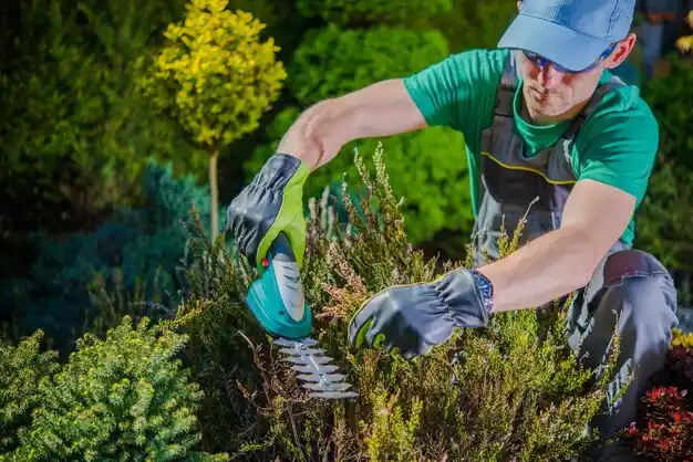 landscaping services Franklinton
